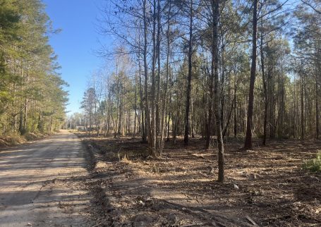 Praxis Ct – Cottageville 1 Acre For Sale