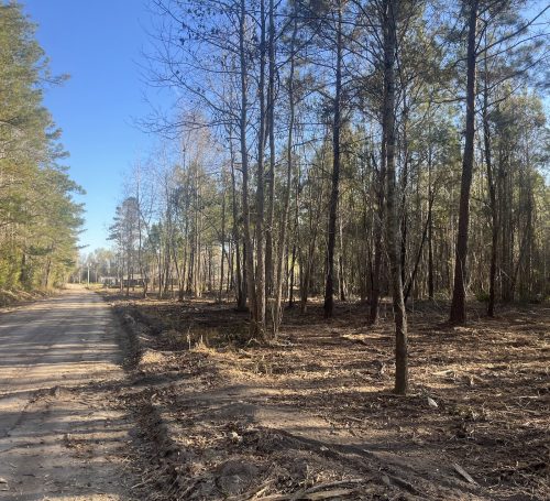 Praxis Ct – Cottageville 1 Acre For Sale